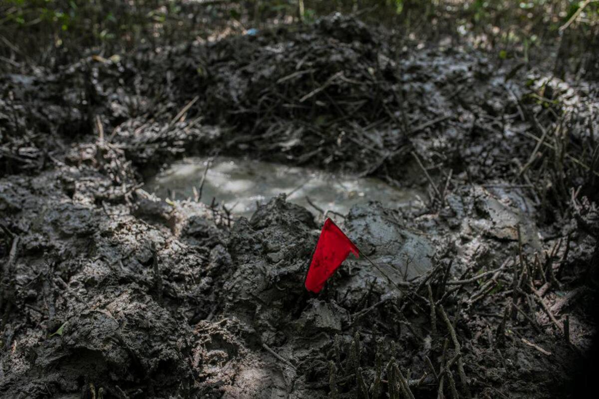 Hallan al menos diez fosas clandestinas en el estado mexicano de Morelos
