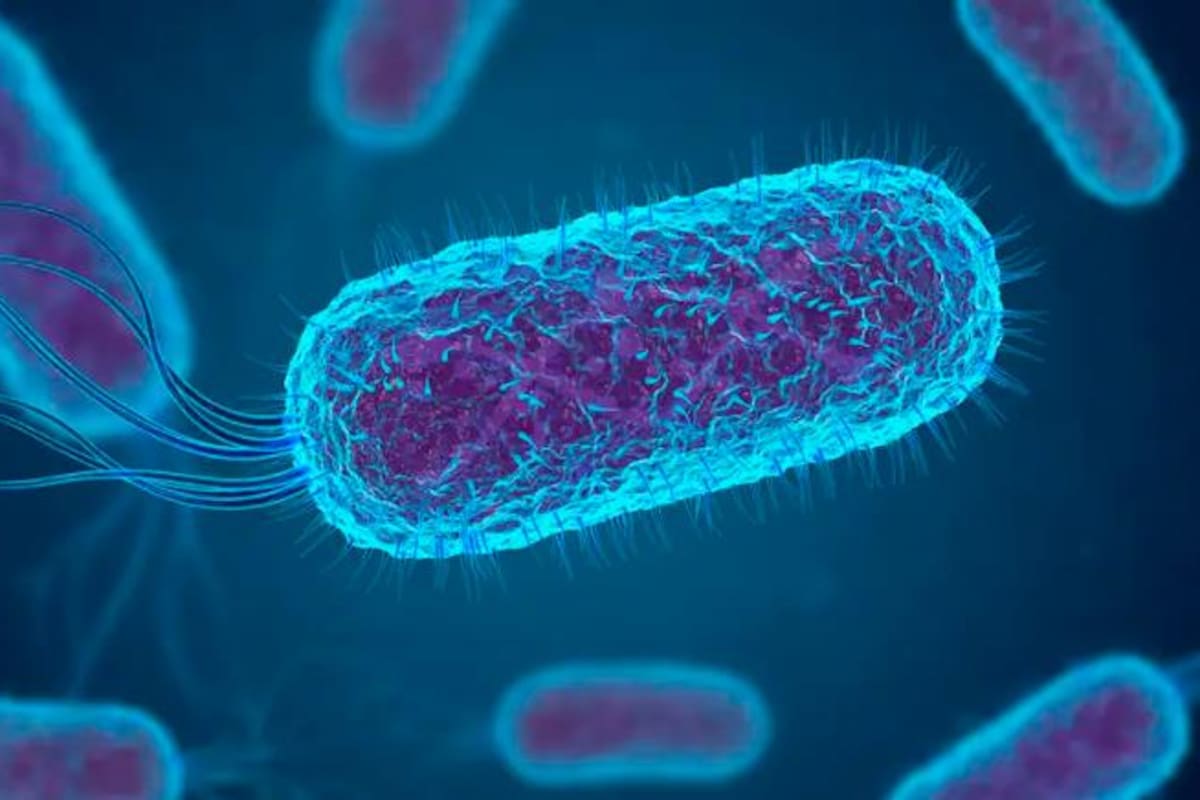 Antibióticos “dejarán de funcionar”: ¿cuáles son las nuevas alternativas?