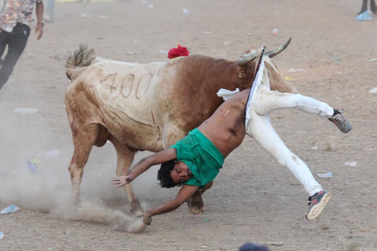 Galería: Con los palcos totalmente llenos terminó la fiesta brava de Palmito