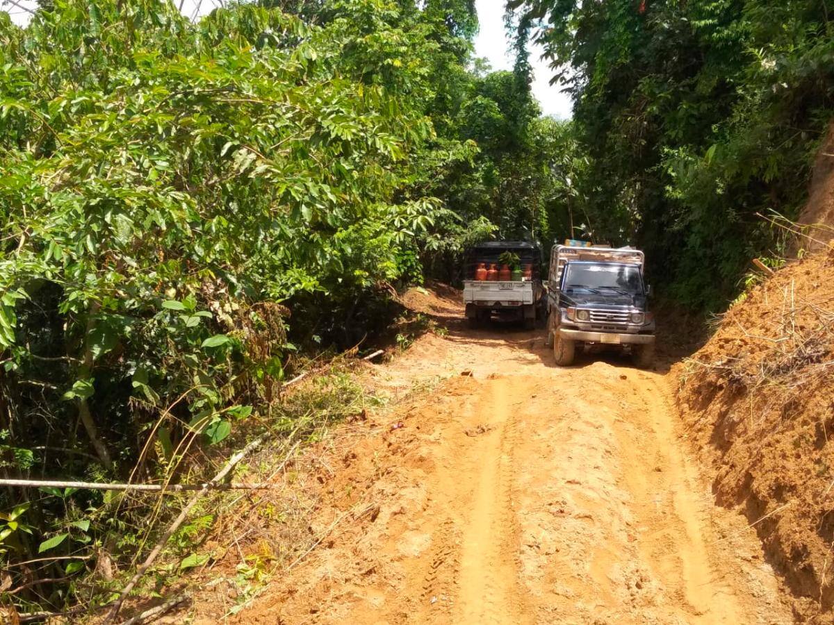 Resultaron afectadas las vías terciarias, sobre todo el carreteable que conduce a los corregimientos de Dorado y Paraíso.