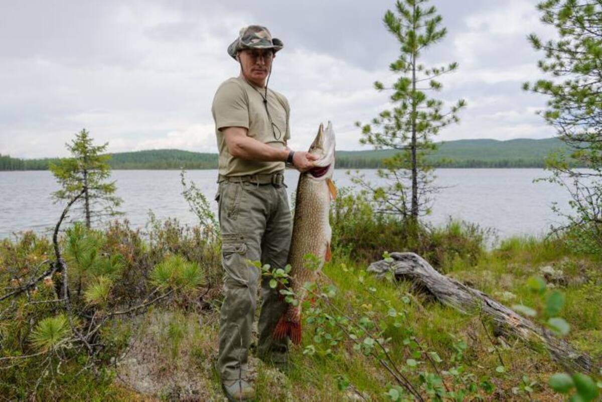 En un país en el que la pesca es deporte nacional, varios internautas dudan que el pescado pese 21 kilos, basándose en su tamaño. AFP ALEXEY DRUZHININ