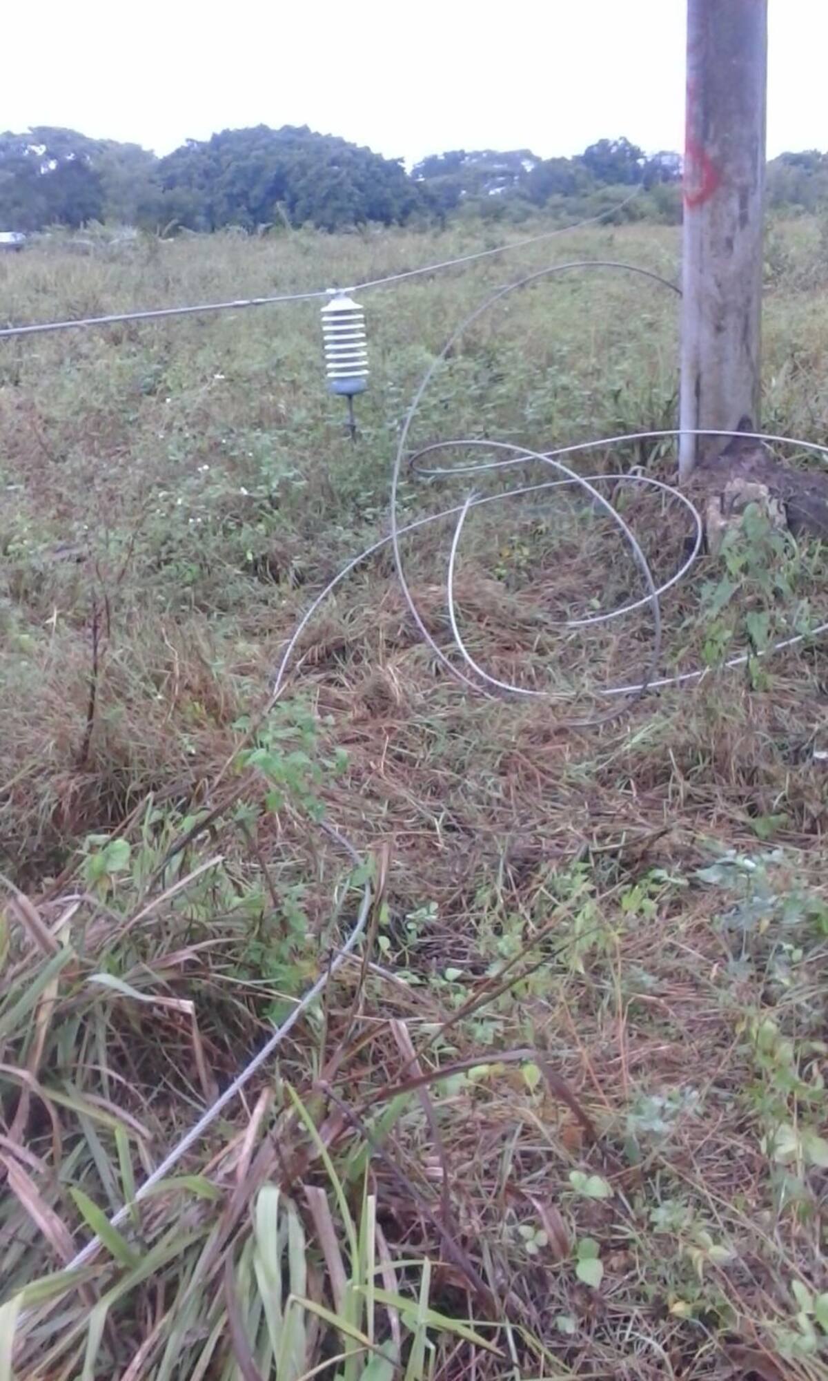 La intensas lluvias de la madrugada de hoy ocasionaron daños en la red eléctrica. CORTESÍA