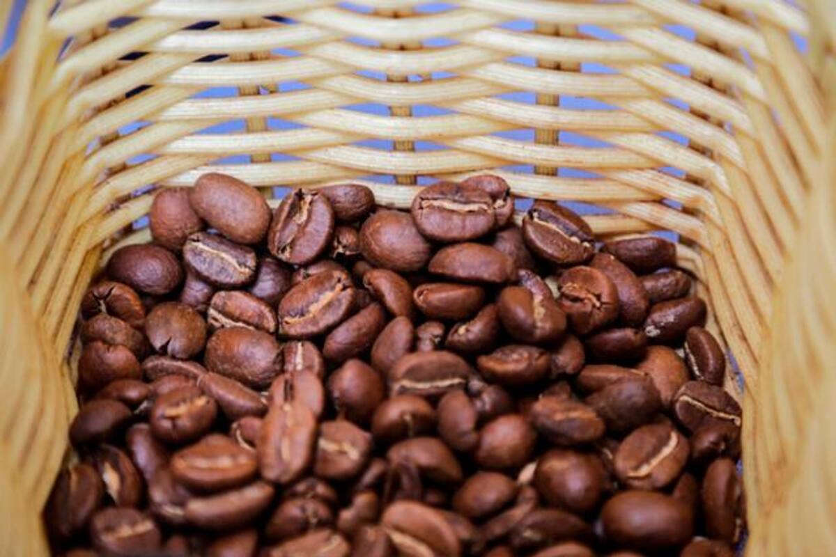 Se agota el plazo de la Unión Europea para la caficultura colombiana