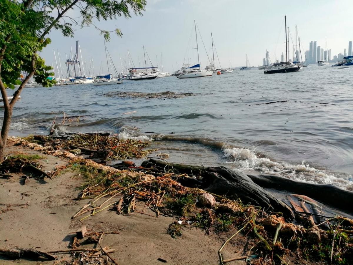 Óscar Díaz- El Universal.