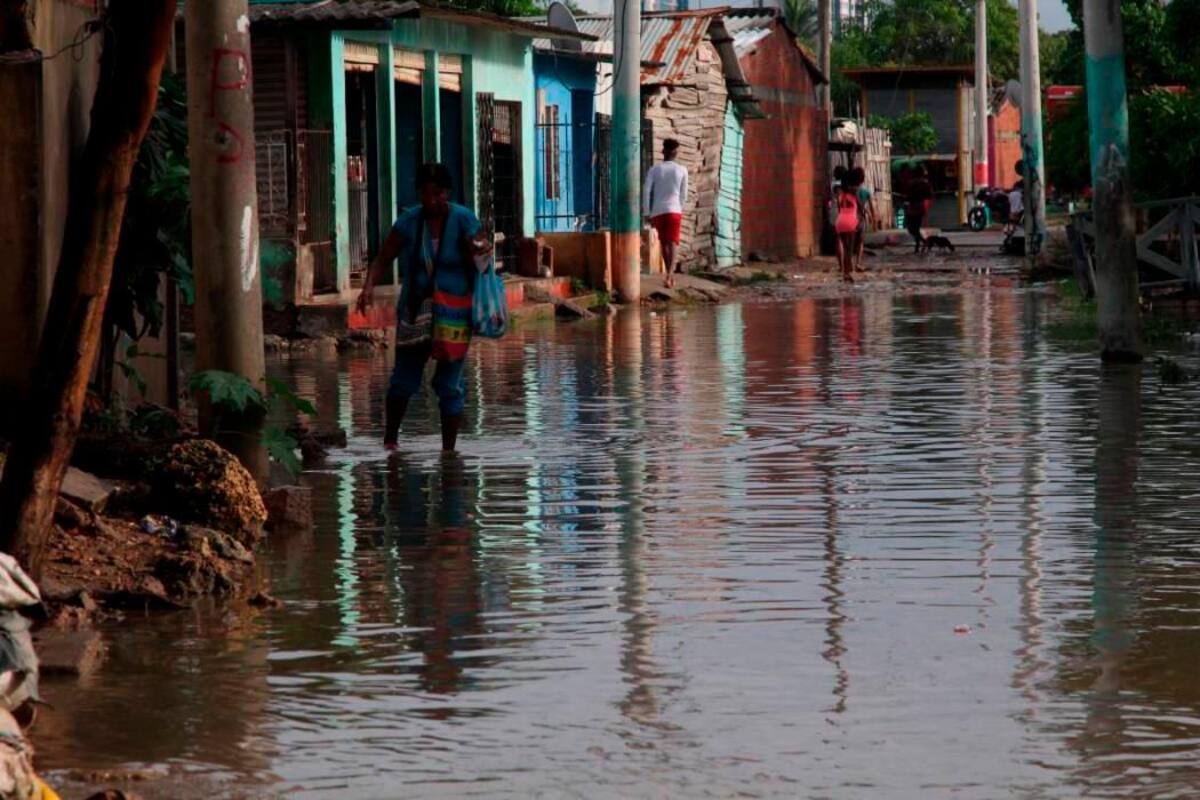 Cambio climático: la OMS pide que la salud sea prioridad en la COP28