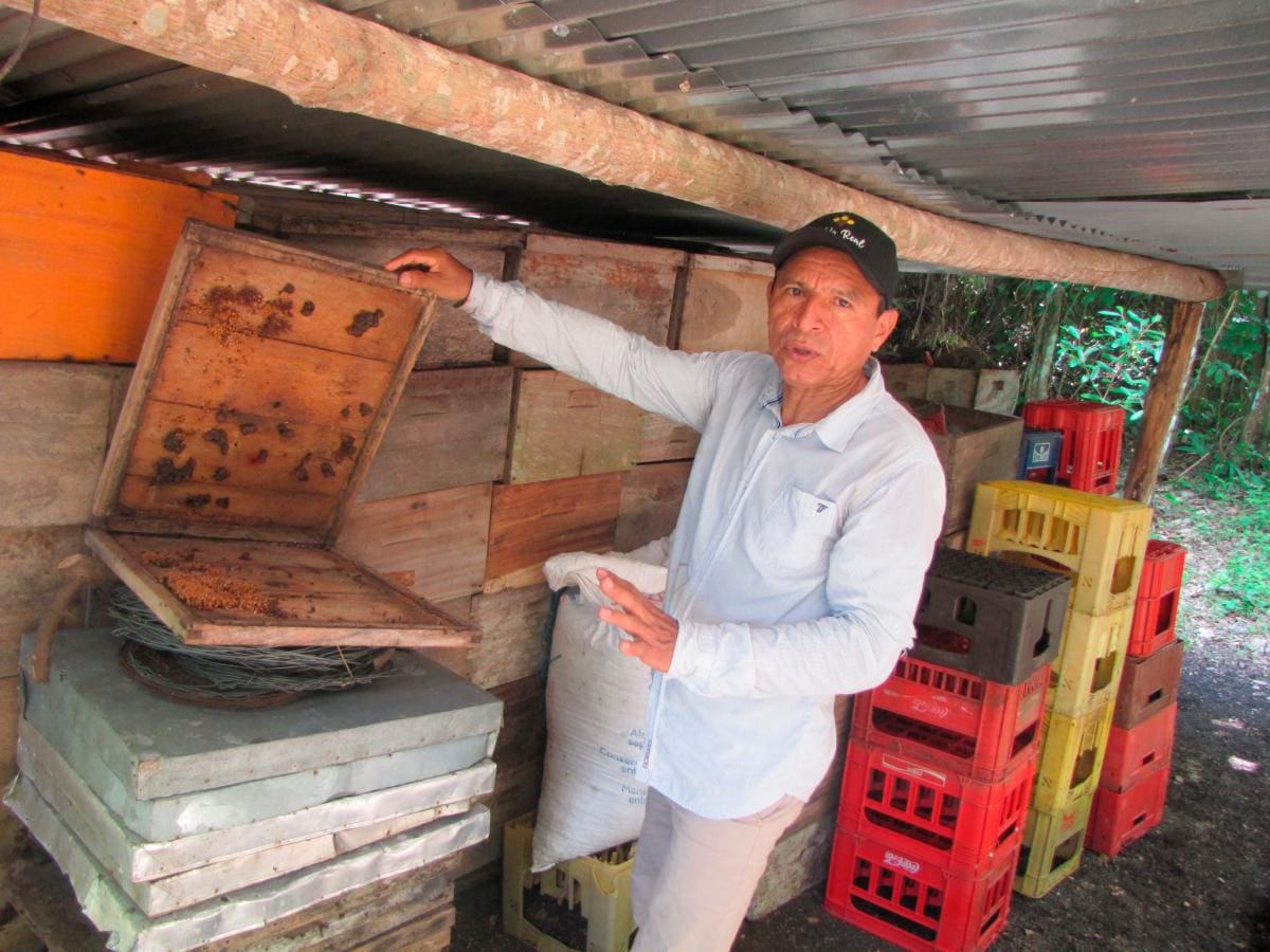 Juan Leones Carbal, productor y técnico apícola. // HFA-EU.