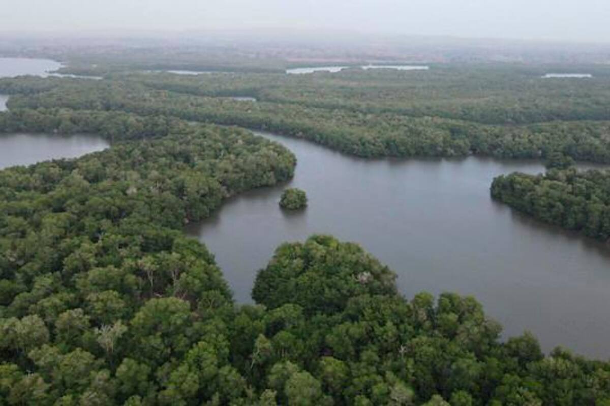 La nueva estrategia de Minambiente para restaurar ecosistemas del país