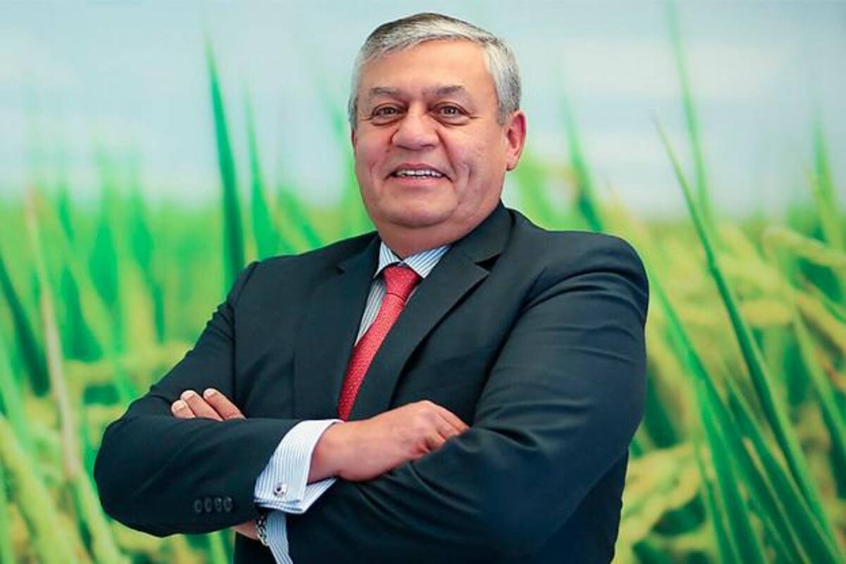 “Consumo per cápita de arroz es de 42,4 kilos año, pero ha bajado en pandemia”