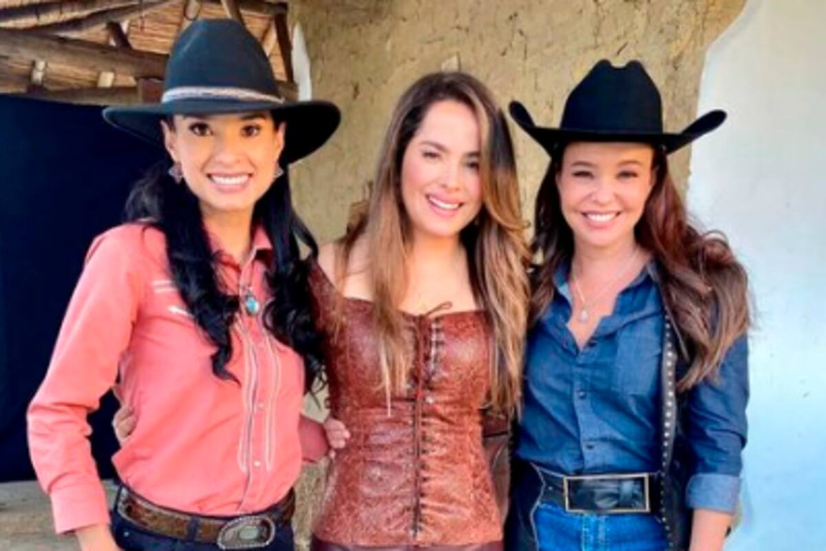 ¿Habrá tercera temporada de Pasión de Gavilanes?