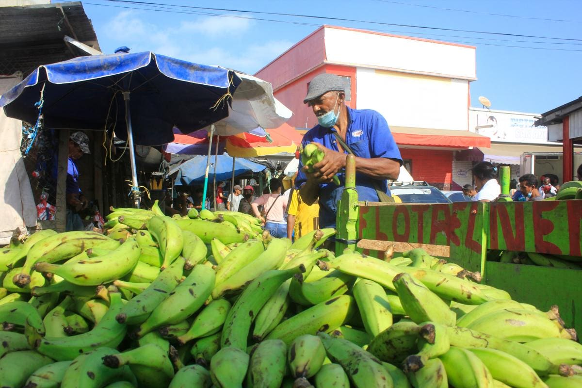 “Llega el plátano, pero no baja de precio”: comerciantes
