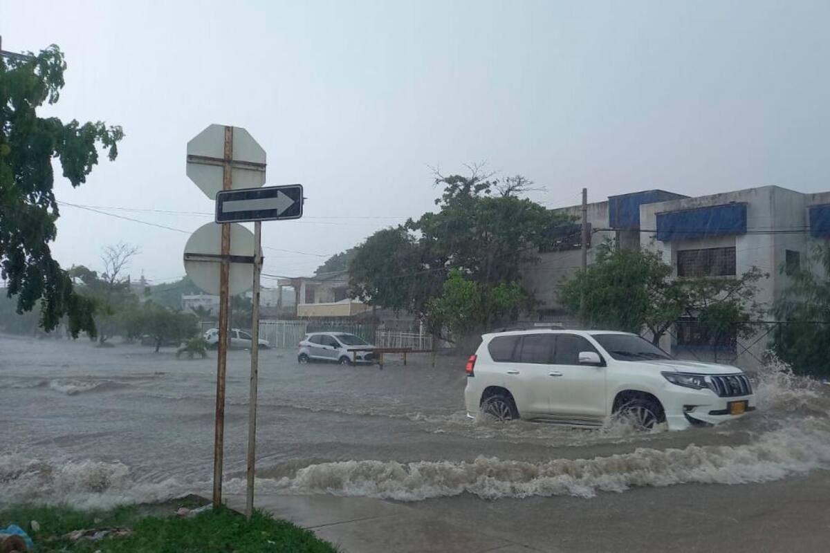 ¡Qué aguacero! Calles inundadas y árboles caídos por fuerte lluvia en Cartagena