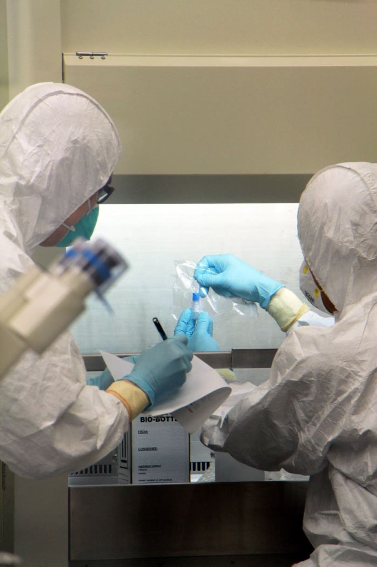 Científicos siguen tras la pista del virus H5N1 AFP
