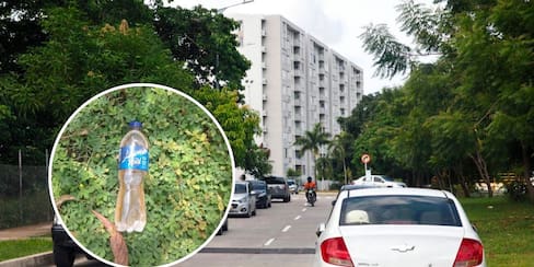 Preocupación por “lanzadores de botellas de orina” en Parque Heredia