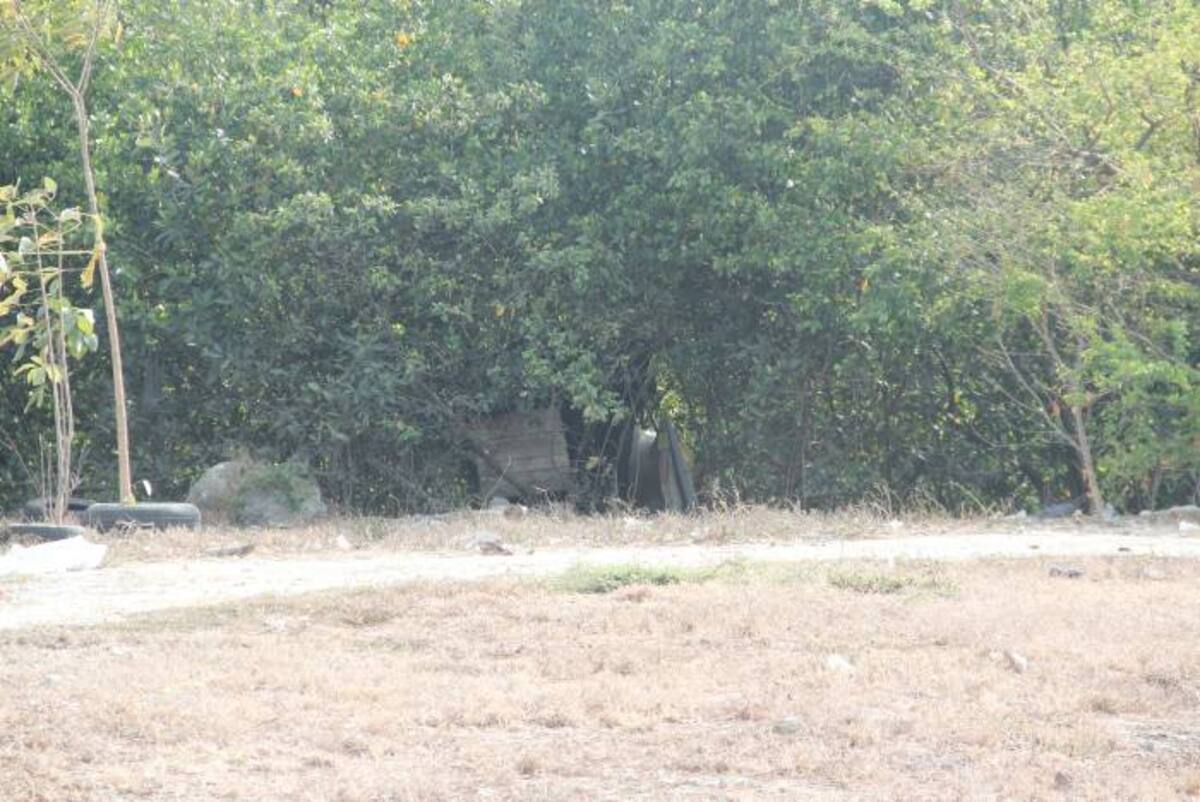 Cambuches en la Avenida del Lago ÁLVARO CÁRCAMO OYAGA.