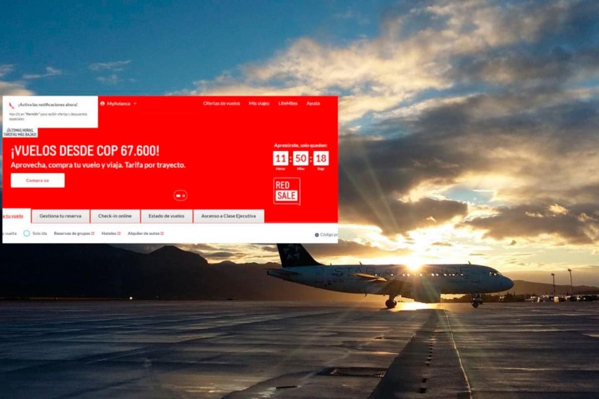¡Aprovecha! Hoy es día de descuentos en vuelos nacionales: estos son los precios