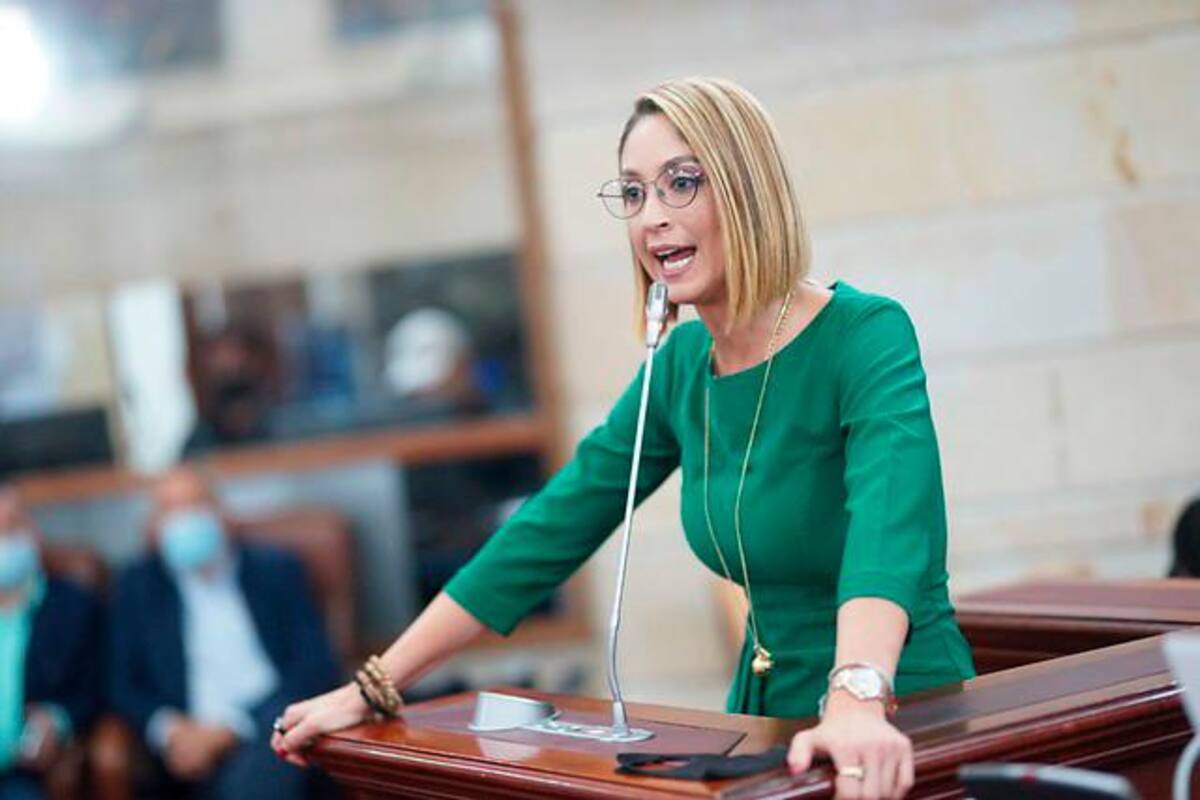 Plagio de Jennifer Arias genera fuerte debate en la plenaria de la Cámara