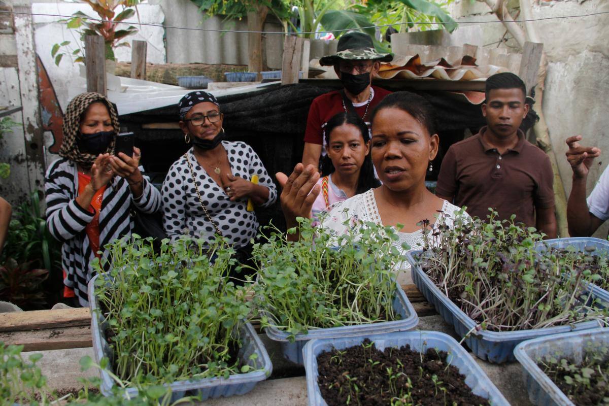 Patios Productivos llegan a Soledad, ¿sabe cuánto ganan los beneficiarios?