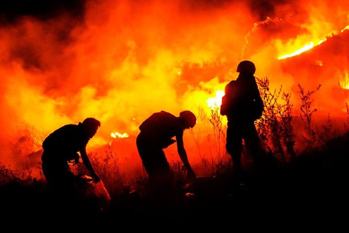 ¡Desgarrador! La cifra de atletas ucranianos muertos en la guerra con Rusia