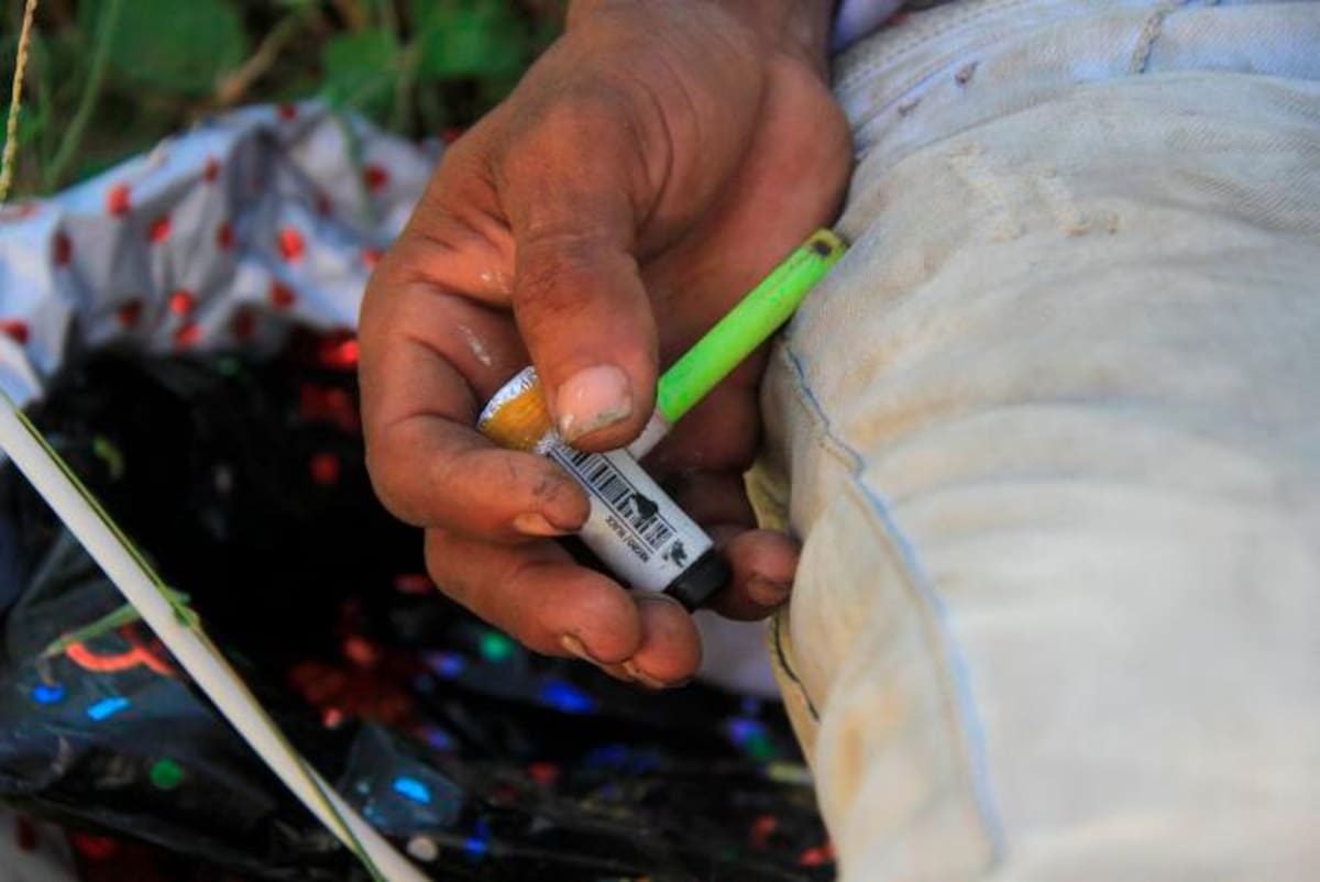 Pipa de patraciao. // Foto: Luis Herrán - El Universal