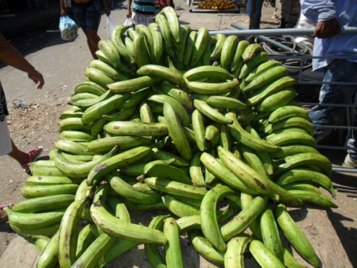 El plátano mantenía precios estables. HERMES FIGUEROA - EL UNIVERSAL