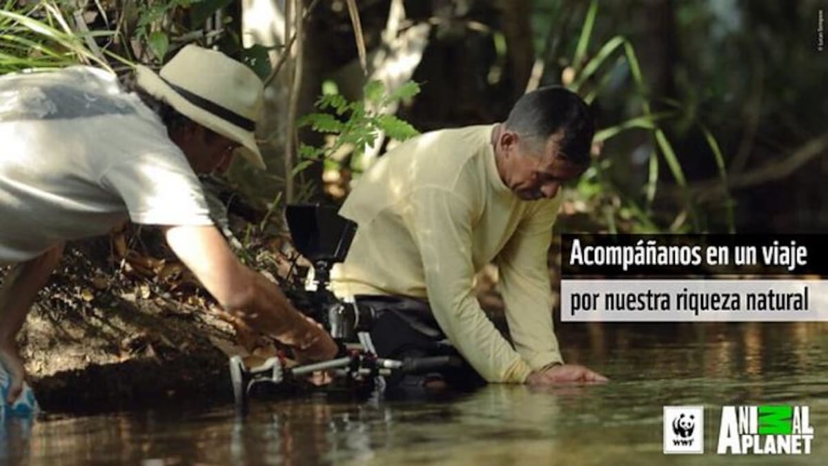 Campaña 'juntos es posible' de WWF Colombia y Animal Planet. COLPRENSA.