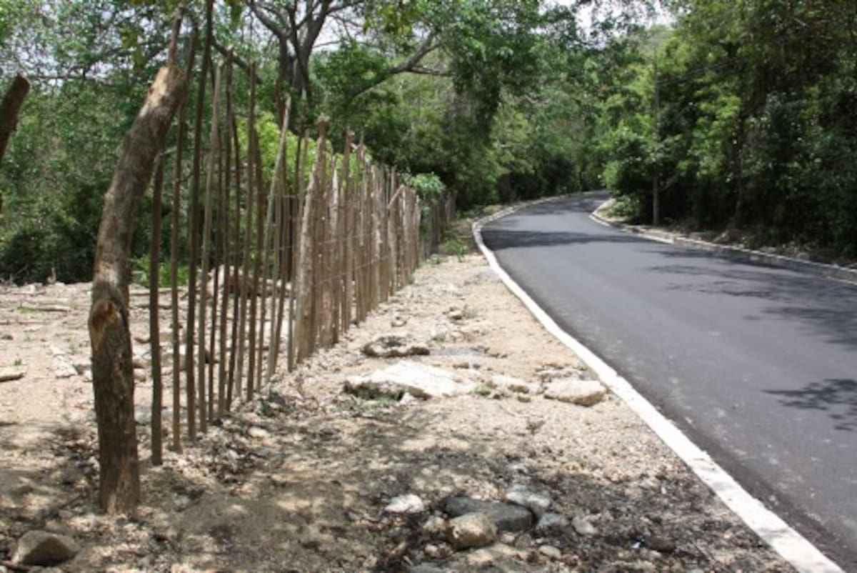 Mientras miembros de asociaciones como Asopopa critican las obras en la vía a La Popa, los contructores explican que han cumplido con toda las normas ambientales. Maruja Parra