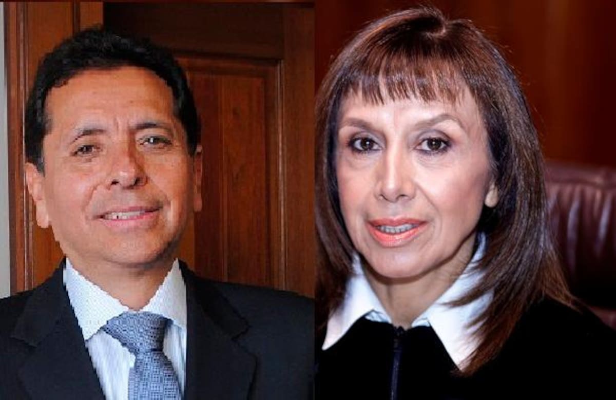 Carlos Moreno Rubio y Stella Carvajal Basto, consejeros de Estado. //Colprensa