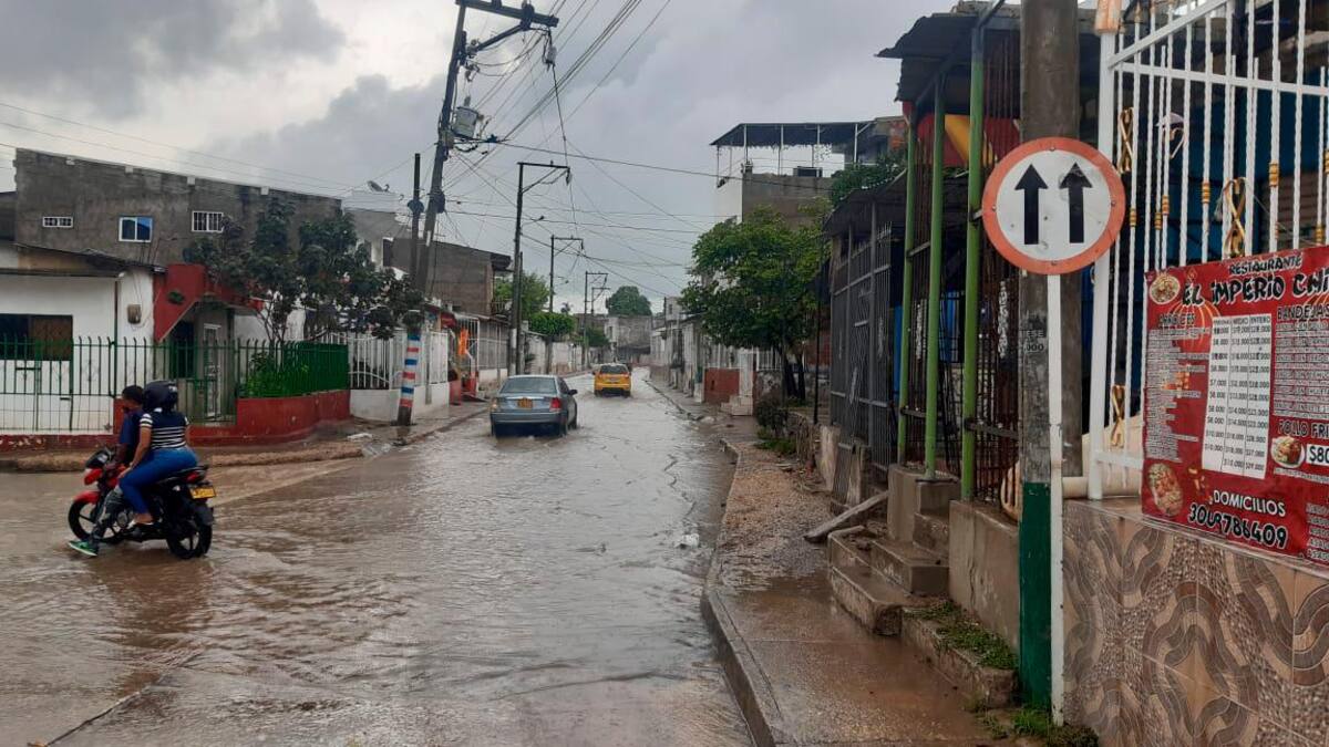 Calle en San Pedro Mártir. // Luis Herrán