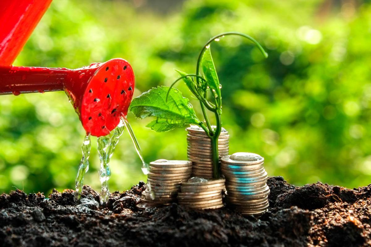 Las empresas del futuro requieren sostenibilidad