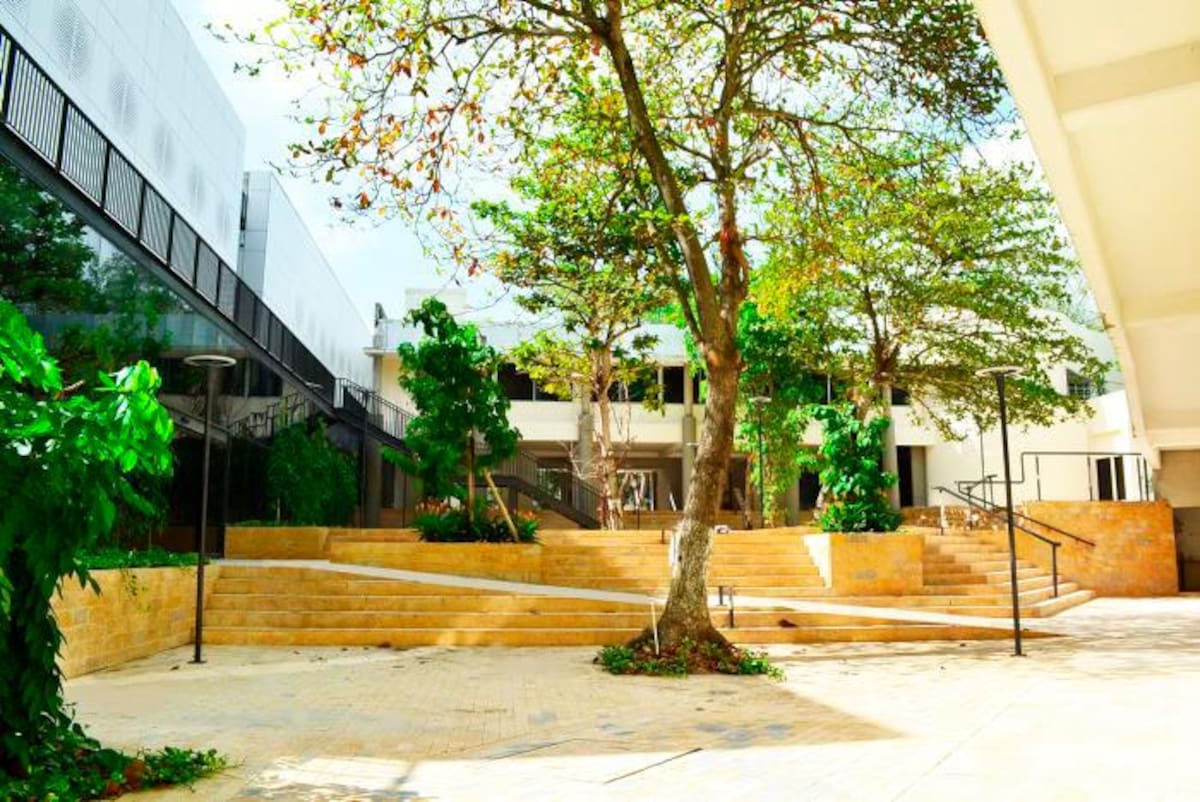 Con motivo de los 50 años de la Universidad Tecnológica de Bolívar, se realizará hoy, por la plataforma Zoom, el conversatorio Presente y Futuro de la UTB que contará con la participación del Rector, Alberto Roa Varelo y el Vicerrector Académico, Daniel Toro González.
