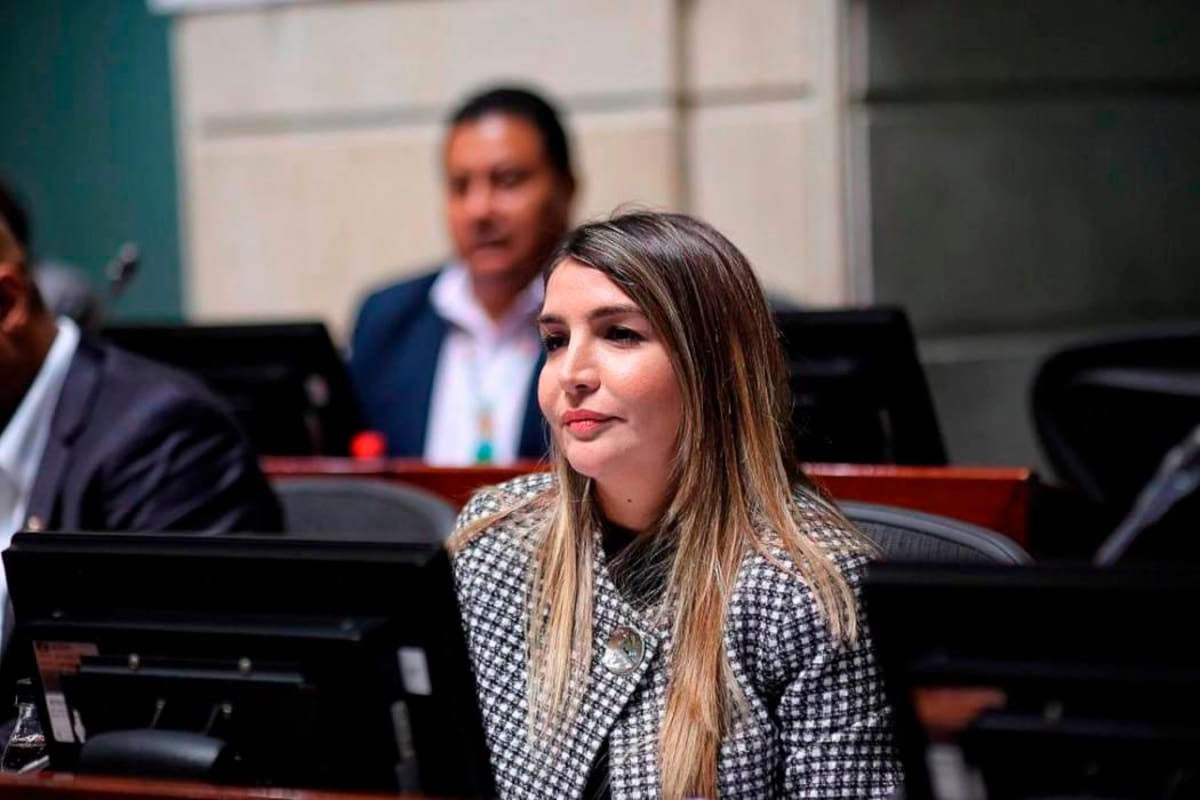 A tercer debate proyecto de parques para niños con discapacidades