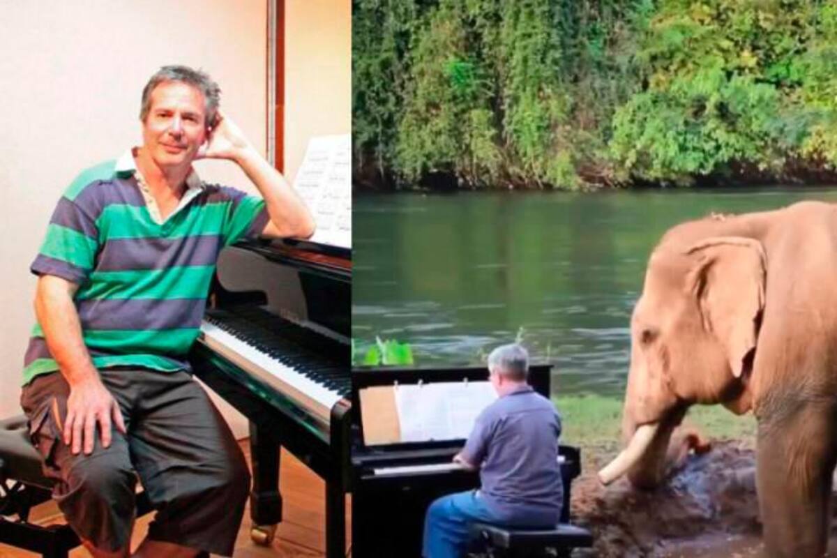 Video: pianista cambió los escenarios para tocarle piano a elefantes ciegos