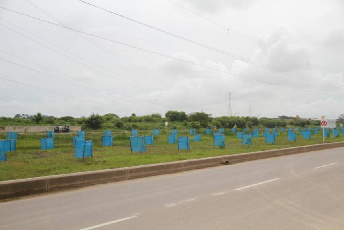 Este es el lote donde será construida la nueva Central de Abastos. ARCHIVO