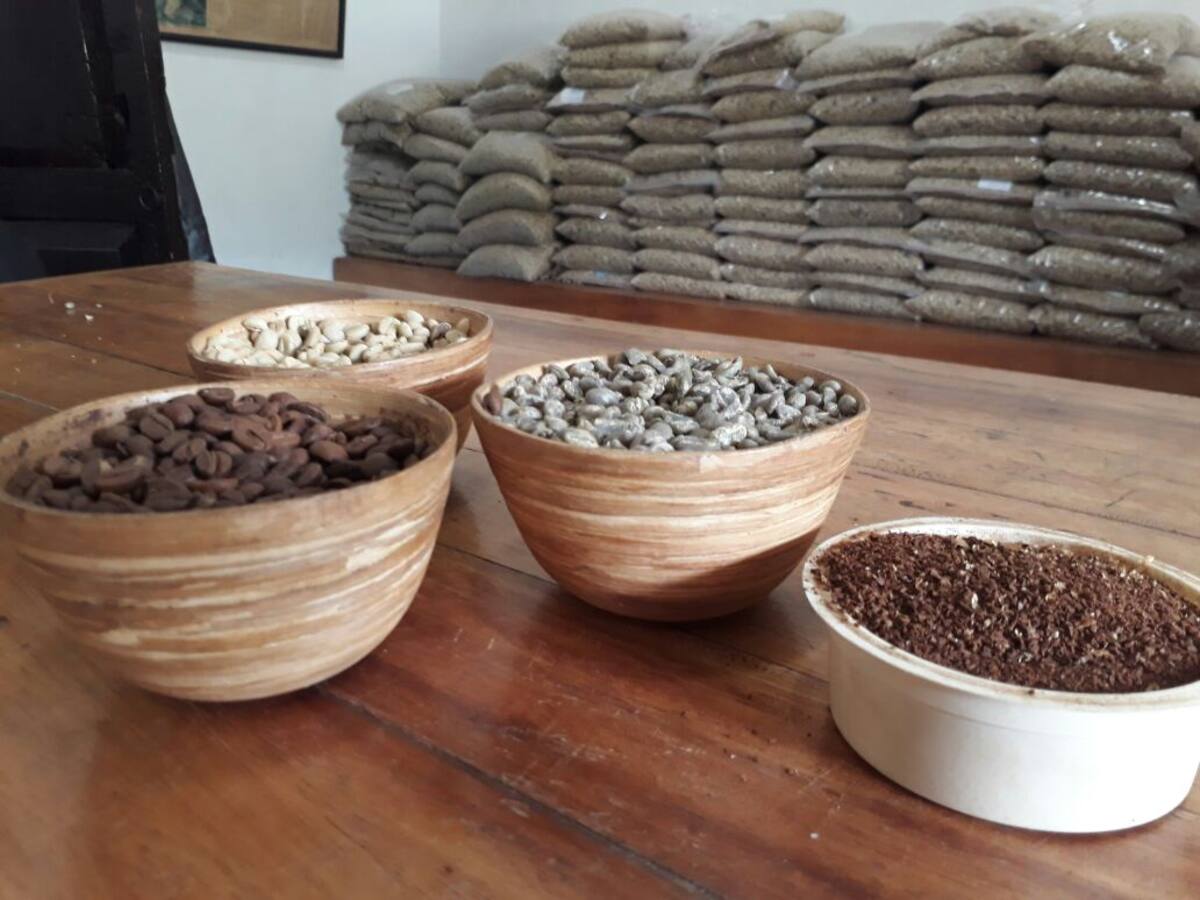 Variedad de granos de Café Mesa de Los Santos, antes de la cata. Andrea Rodríguez.
