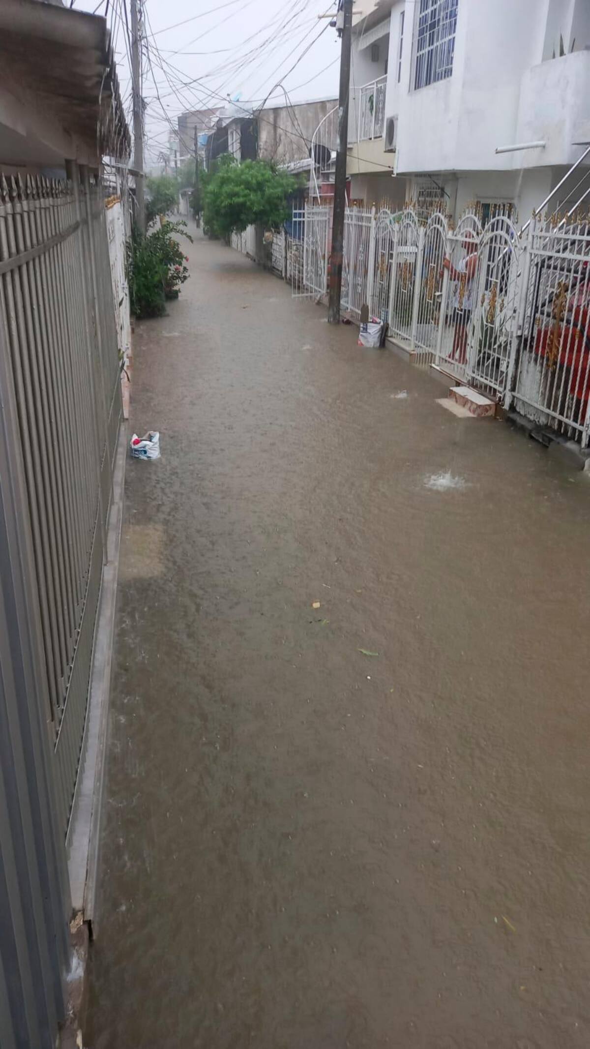 Calles de Simón Bolívar