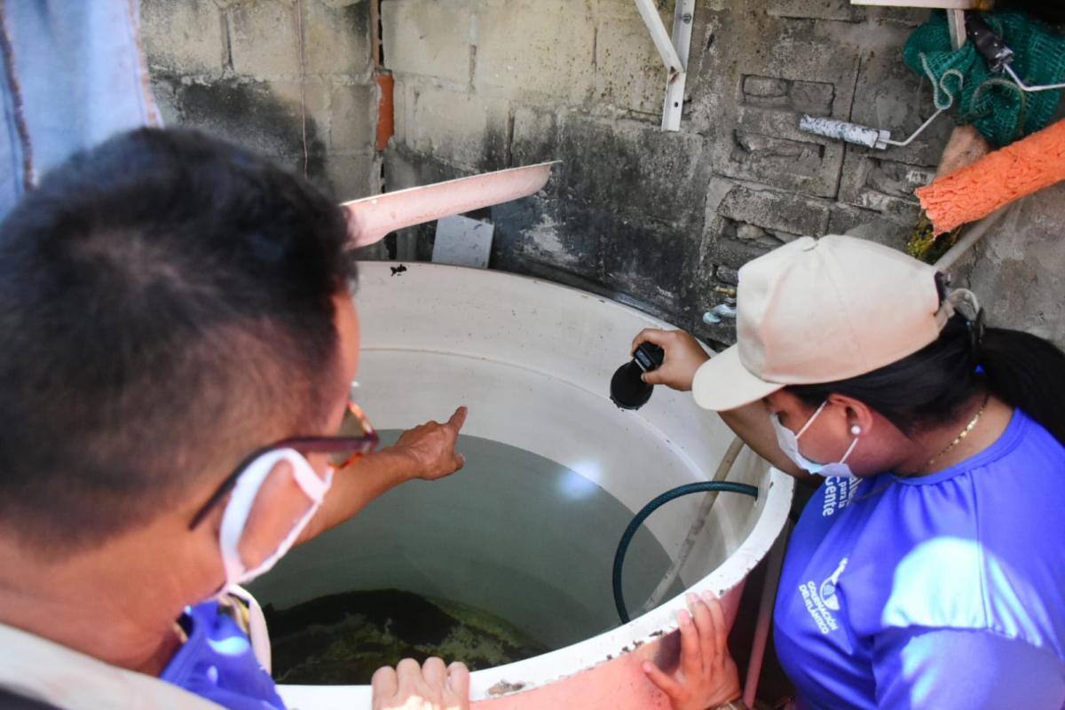 En 2022 se han presentado 632 casos y dos muertes por dengue