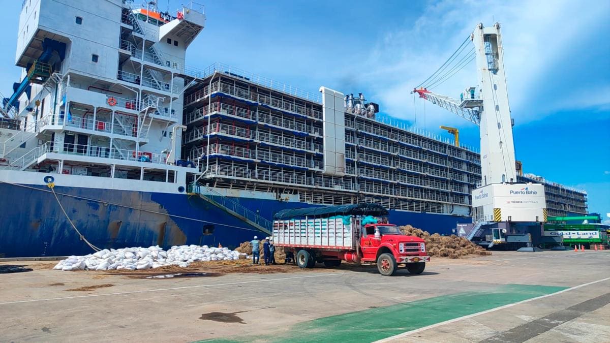 Todos los embarques de 2024 se han hecho por muelles del puerto de Cartagena. (Puerto Bahía y Mardique). // Cortesía