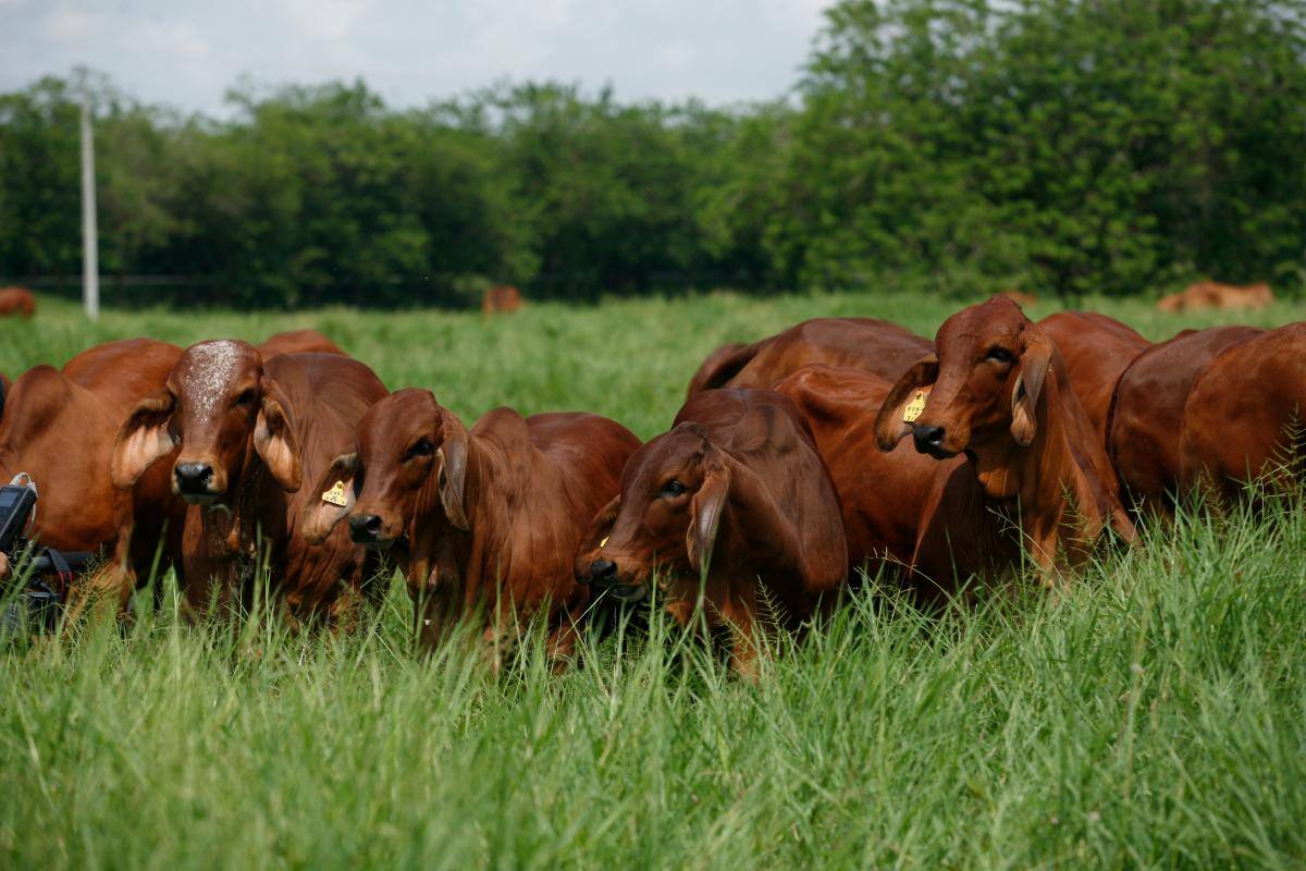 Corteva llega con más tecnología e innovación para el campo