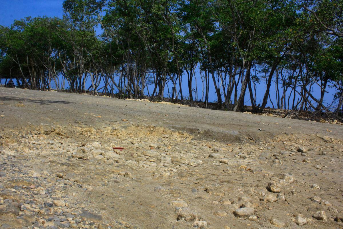Hallan cuerpo flotando en el sector de Playetas, en la Isla de Barú