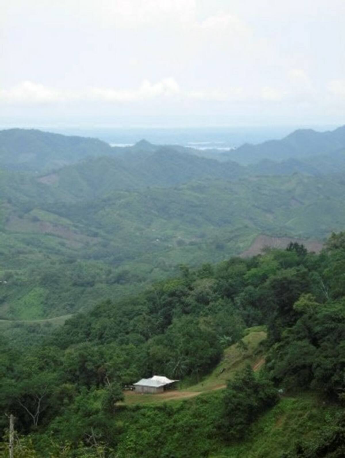 Panorámica de Montes de María, en El Carmen de Bolívar HERMES FIGUEROA A. - EL UNIVERSAL