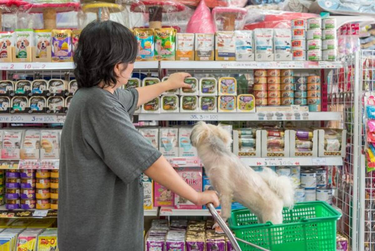 El acceso de perros y gatos a centros comerciales es una tendencia que va en aumento. En Cartagena varios de estos establecimientos entraron en la onda ‘Pet Friendly’. 123RF