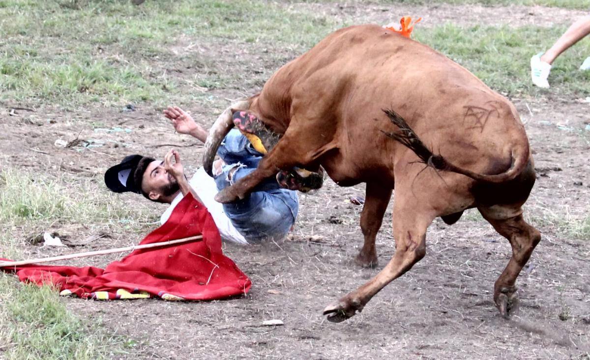 El hombre de corraleja parece suplicar al Dios del cielo que se calme la embestida. //Manuel Santiago Pérez.