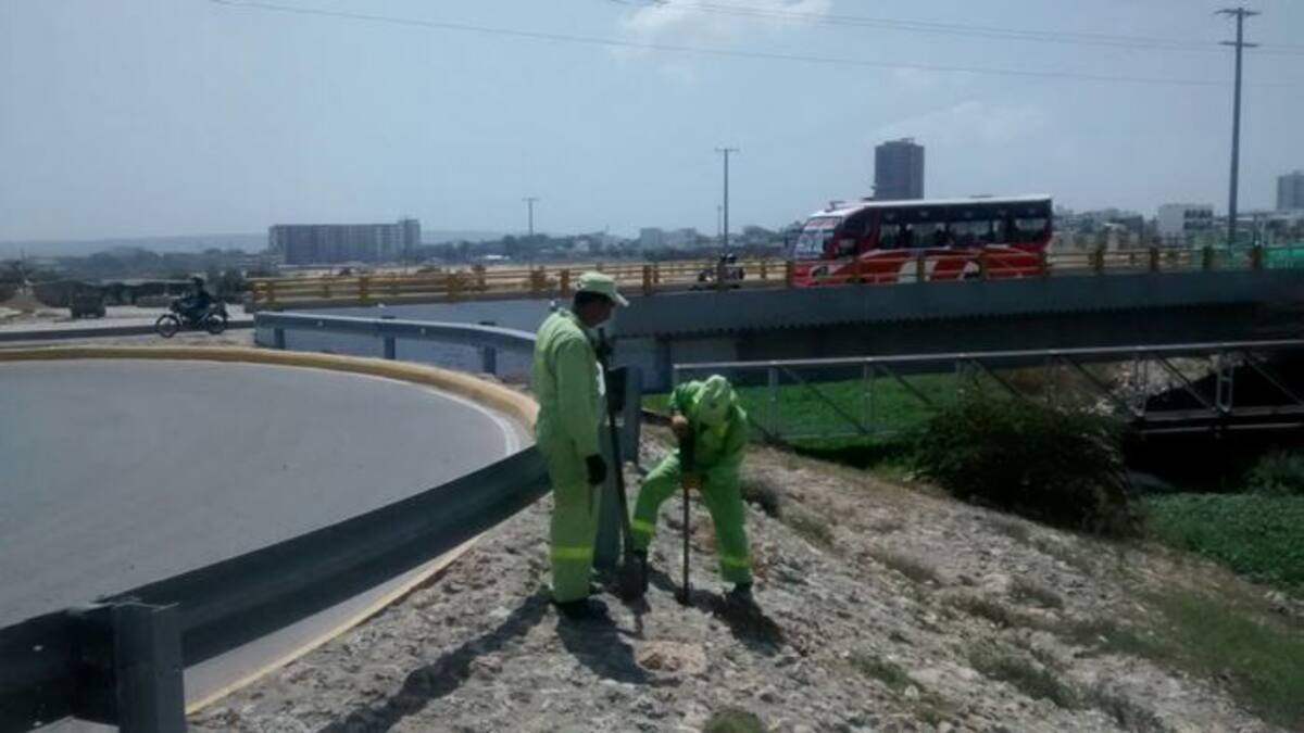 Operarios de Pacaribe realizan la tarea de limpieza, y de inmediato proceden al cerramiento del predio que ha sido despejado de residuos.