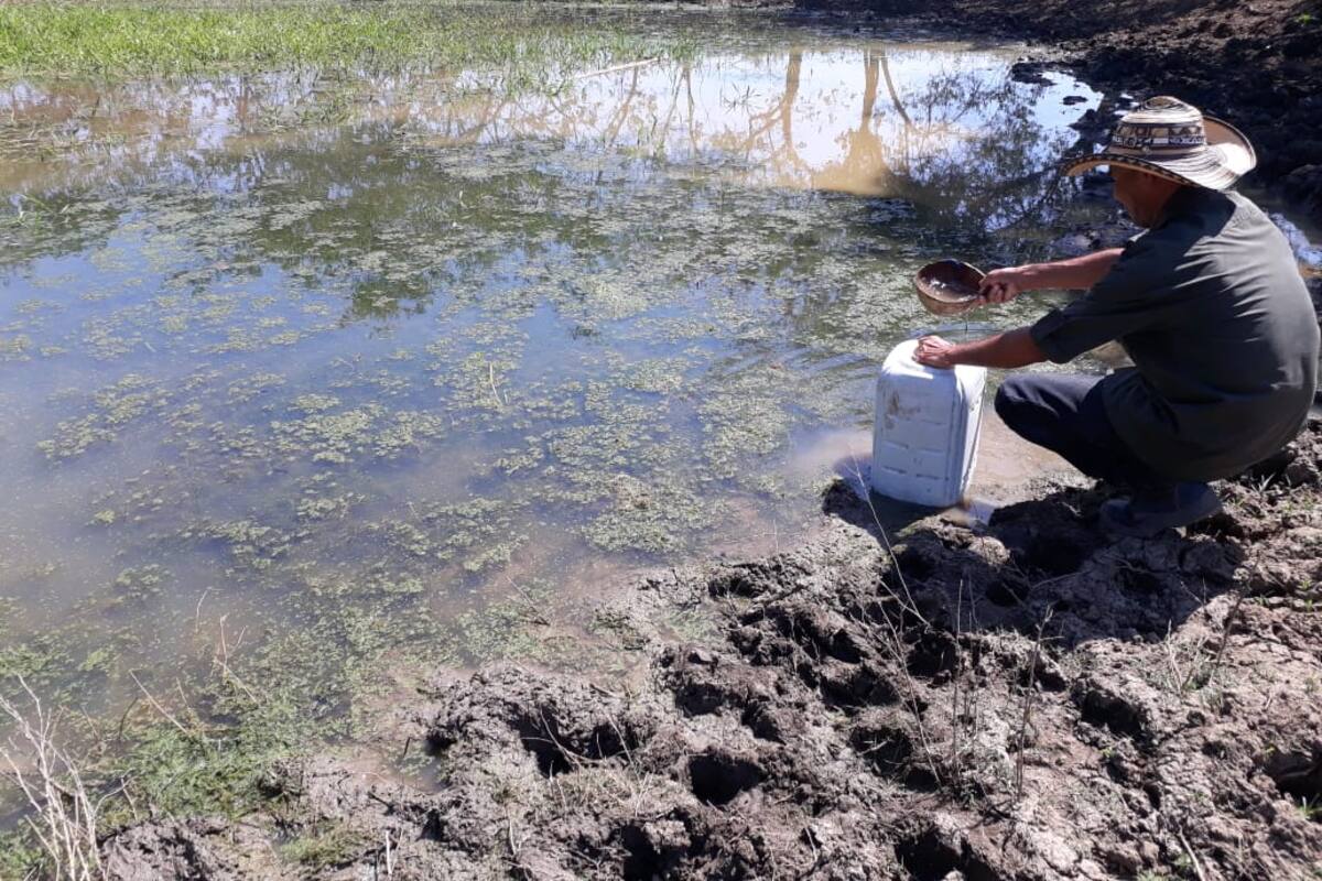 “Sequía no da tregua en los Montes de María”: campesinos
