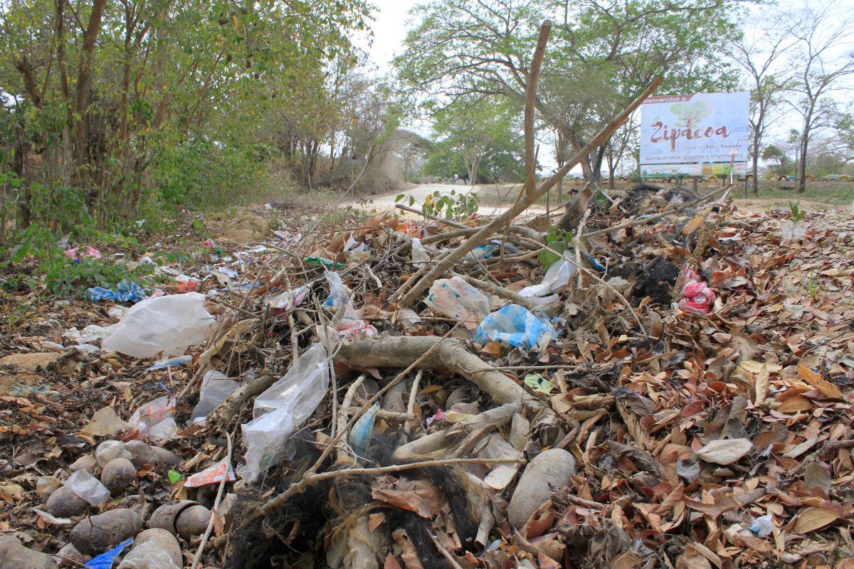 A Zipacoa lo devora la contaminación