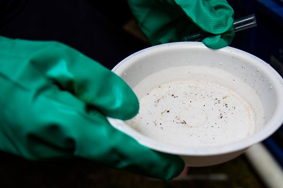 La OMS considera el brote de dengue en Brasil un “desafío significativo”