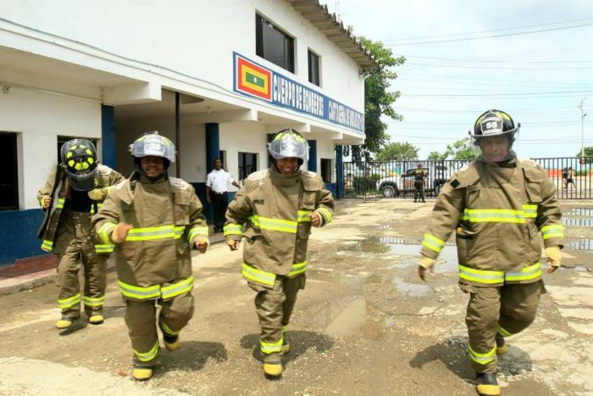 El Cuerpo de Bomberos de Cartagena se ha especializado en atención de casos de abejas. archivo