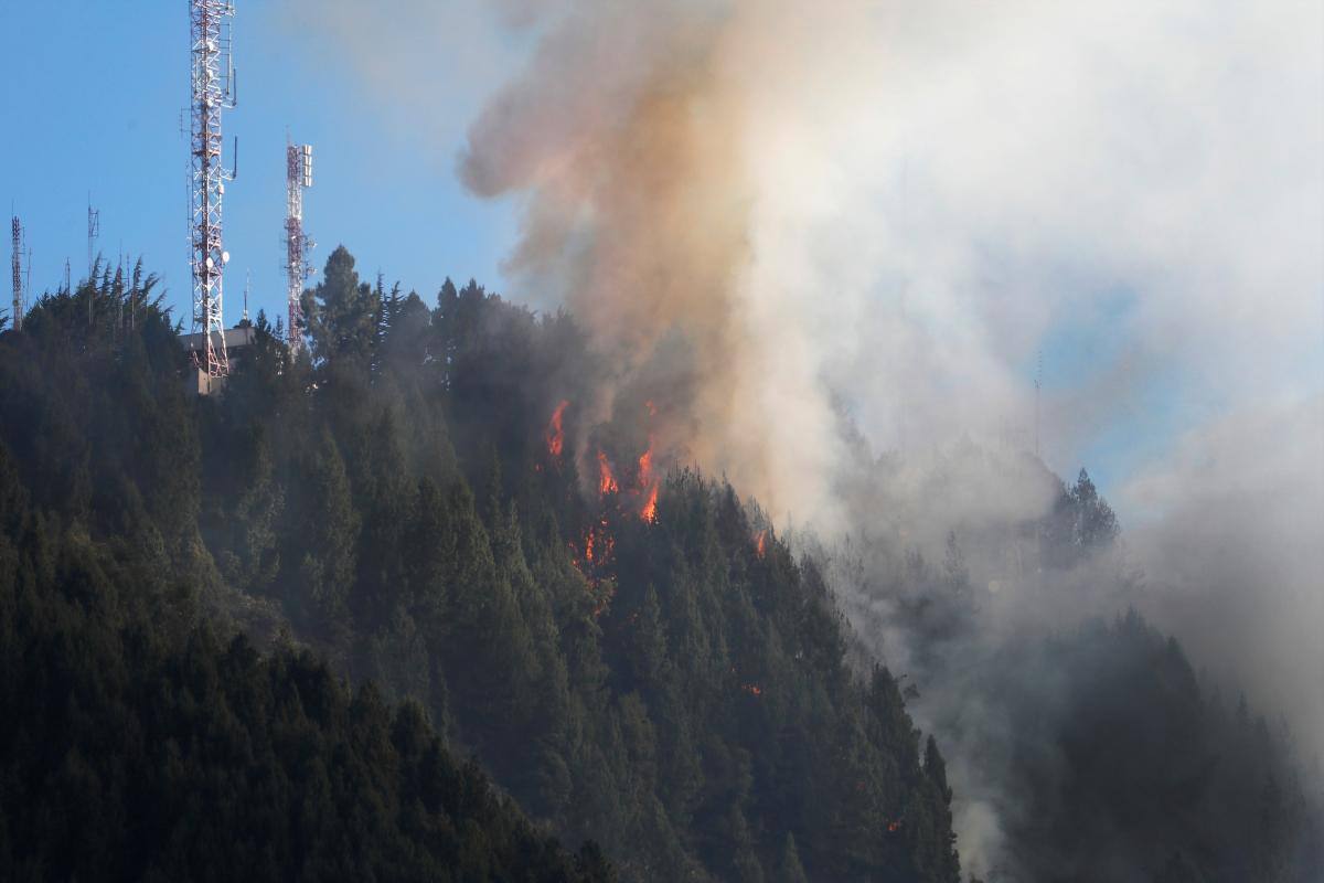 Petro pedirá ayuda internacional para combatir incendios forestales