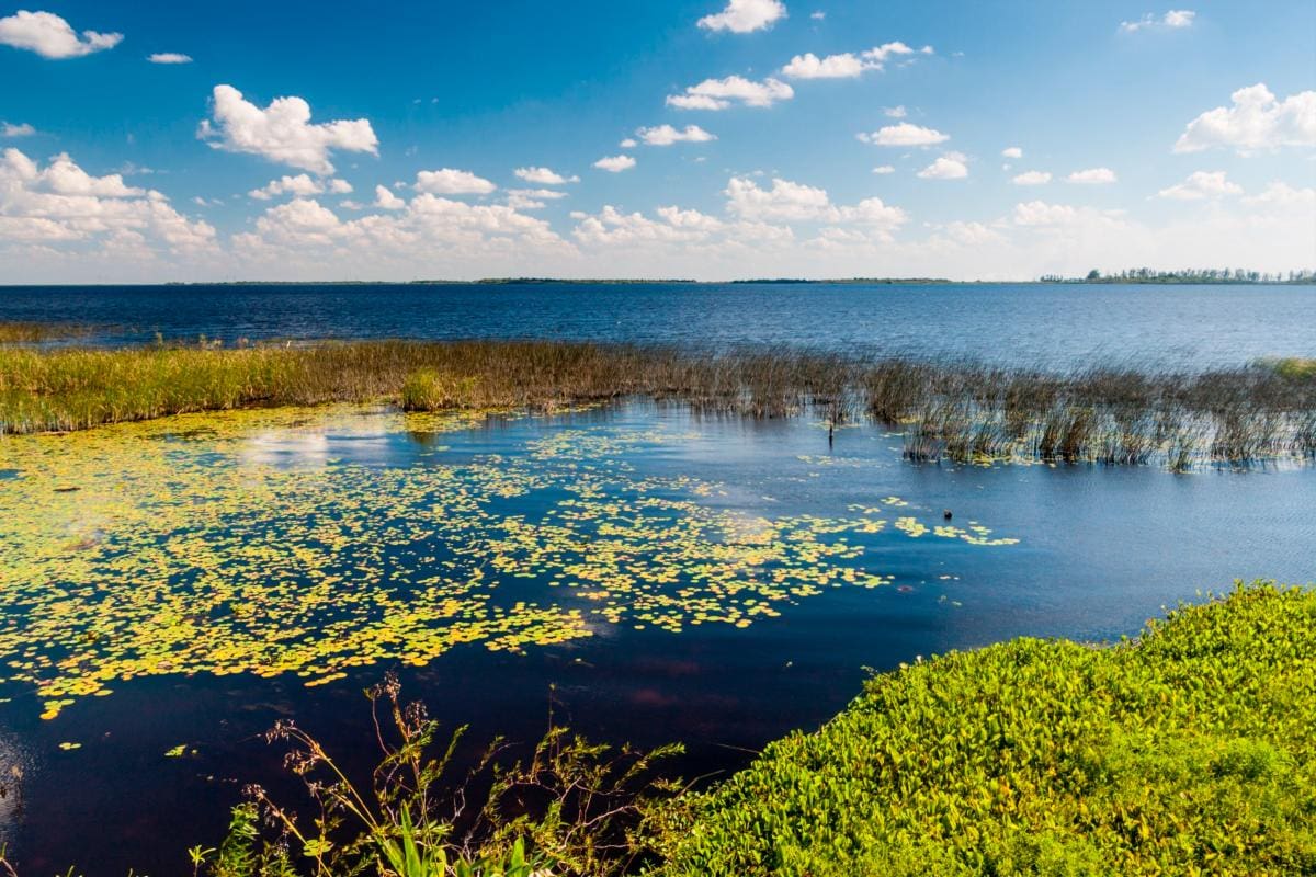 Tours latinoamericanos destacados en “The Cool List 2024” de National Geographic