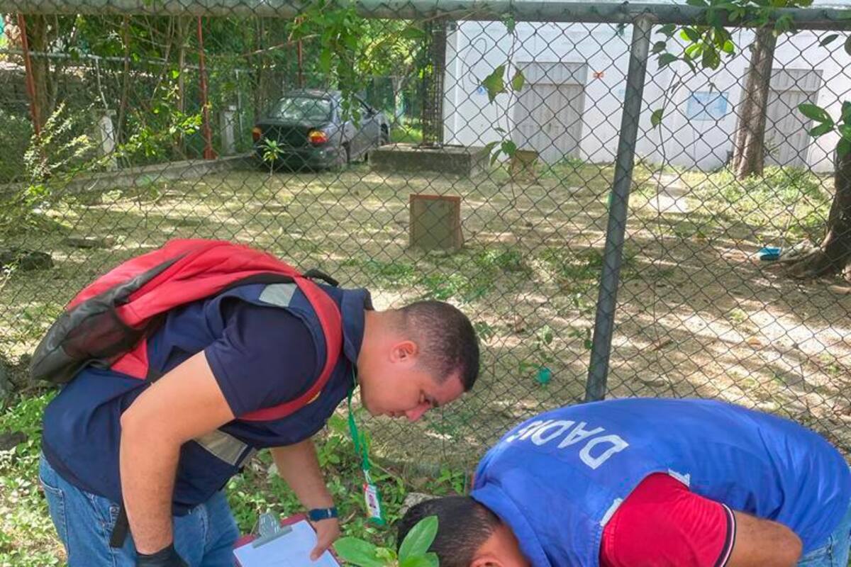 ¡Atención! Cartagena salió de la zona de brote por dengue